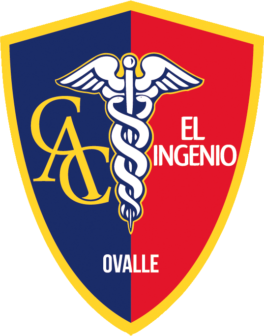 insignia Escuela